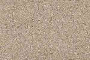 Ковролин AW Confidence 34 фото  | FLOORDEALER