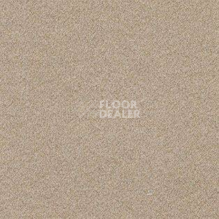 Ковролин AW Confidence 34 фото 1 | FLOORDEALER