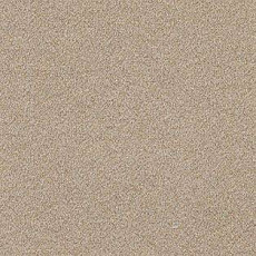 Ковролин AW Confidence 34 фото 1 | FLOORDEALER