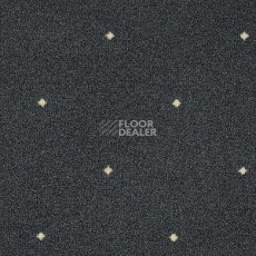 Ковролин Big Fidenza 158 фото 1 | FLOORDEALER