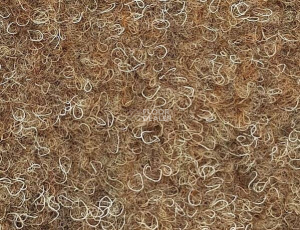 Vebe Sumatra 68 фото 1 | FLOORDEALER