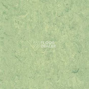 Линолеум Gerflor Marmorette AcousticPlus DLW 2121-130 фото 1 | FLOORDEALER