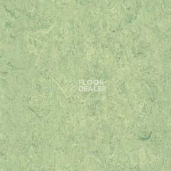 Линолеум Gerflor Marmorette AcousticPlus DLW 2121-130 фото 1 | FLOORDEALER