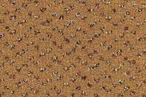 Ковровая плитка Desso Trapez 2048 фото  | FLOORDEALER