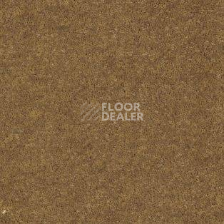 Ковролин AW Seduction 50 фото 1 | FLOORDEALER