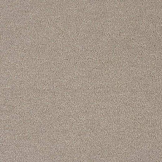 Ковролин Lano Pleasure Ple 0240 фото 1 | FLOORDEALER