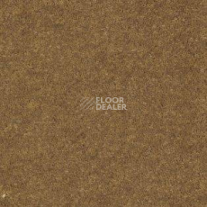 Ковролин AW Seduction 50 фото 1 | FLOORDEALER