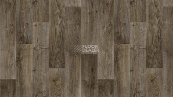 Линолеум Tarkett Stimul RIGARD_5 фото 1 | FLOORDEALER