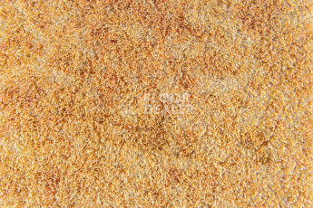 Forbo Flotex Colour Calgary 50*50 t 590008 Calgary Saffron фото 2 | FLOORDEALER