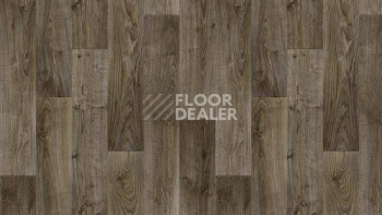 Линолеум Tarkett Stimul RIGARD_5 фото 1 | FLOORDEALER