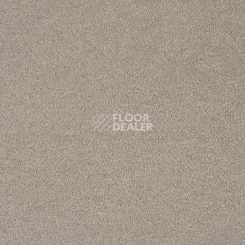Ковролин Lano Pleasure Ple 0240 фото 1 | FLOORDEALER