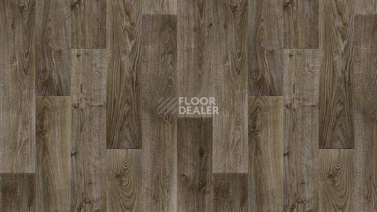 Линолеум Tarkett Stimul RIGARD_5 фото 1 | FLOORDEALER