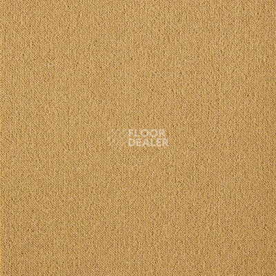 Ковролин Big Splendor 508 фото 1 | FLOORDEALER