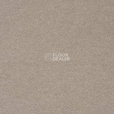 Ковролин Lano Pleasure Ple 0240 фото 1 | FLOORDEALER