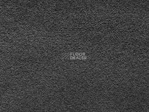 Ковролин Balta Wild Luxury Paddington 97 фото 1 | FLOORDEALER