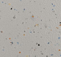 Forbo SureStep Original 171032 smoke фото 2 | FLOORDEALER