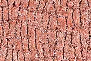 Ковролин Balta ITC Elton 064 фото  | FLOORDEALER