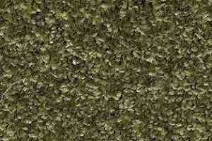 Ковролин AW Gaia Meridia 24 фото  | FLOORDEALER