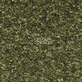 Ковролин AW Gaia Meridia 24 фото 1 | FLOORDEALER