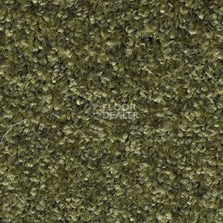 Ковролин AW Gaia Meridia 24 фото 1 | FLOORDEALER