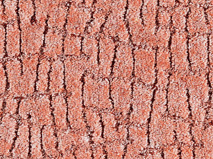 Ковролин Balta ITC Elton 064 фото 1 | FLOORDEALER