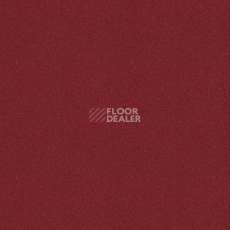 Ковровая плитка Tessera basis pro 4205 Chilli фото 1 | FLOORDEALER