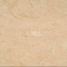 Линолеум Marmorette AcousticPlus DLW 2121-040 фото 1 | FLOORDEALER