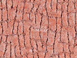 Ковролин Balta ITC Elton 064 фото 1 | FLOORDEALER