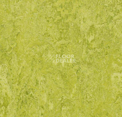 Кварцвиниловые полы Forbo Marmoleum Modular Colour 3224 фото 1 | FLOORDEALER