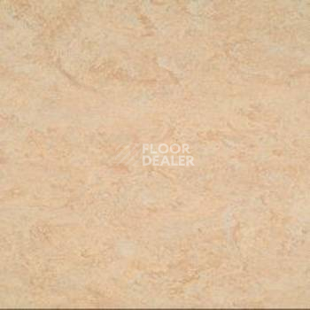 Линолеум Marmorette AcousticPlus DLW 2121-040 фото 1 | FLOORDEALER