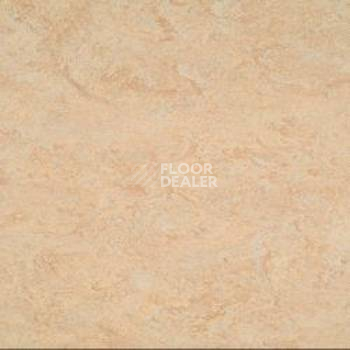 Линолеум Gerflor Marmorette AcousticPlus DLW 2121-040 фото 1 | FLOORDEALER