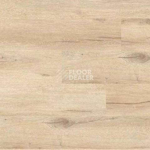 Кварцвиниловые полы Gerflor Creation 55 0849_Cedar_Pure фото 1 | FLOORDEALER