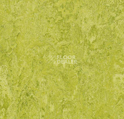 Кварцвиниловые полы Forbo Marmoleum Modular Colour 3224 фото 1 | FLOORDEALER