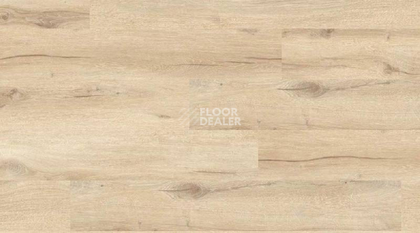 Кварцвиниловые полы Creation 55 0849_Cedar_Pure фото 1 | FLOORDEALER