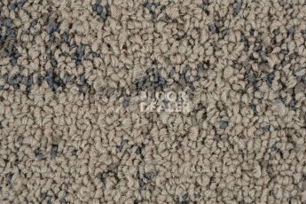 Neuflor Neuflor Desert 600905 фото 3 | FLOORDEALER