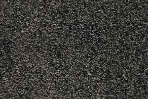 Ковролин AW Invictus Romelus 99 фото  | FLOORDEALER