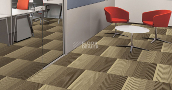 Ambient Ambient 542 фото 2 | FLOORDEALER