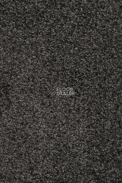 Ковролин AW Invictus Romelus 99 фото 1 | FLOORDEALER