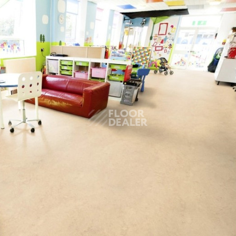 Forbo Marmoleum Marbled Real 2713 Calico фото 2 | FLOORDEALER