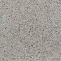 Линолеум Tarkett iQ Aria CARII-653 фото 1 | FLOORDEALER