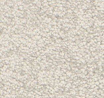 Ковролин AW Gaia Solstice 09 фото 1 | FLOORDEALER