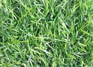 Искусственная трава EcoGreen EcoGreen фото 1 | FLOORDEALER