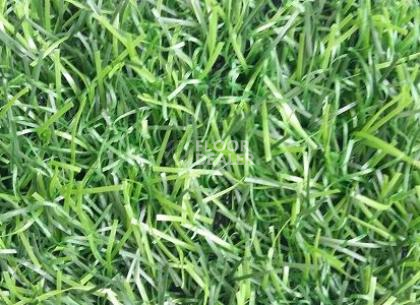 Искусственная трава EcoGreen EcoGreen фото 1 | FLOORDEALER