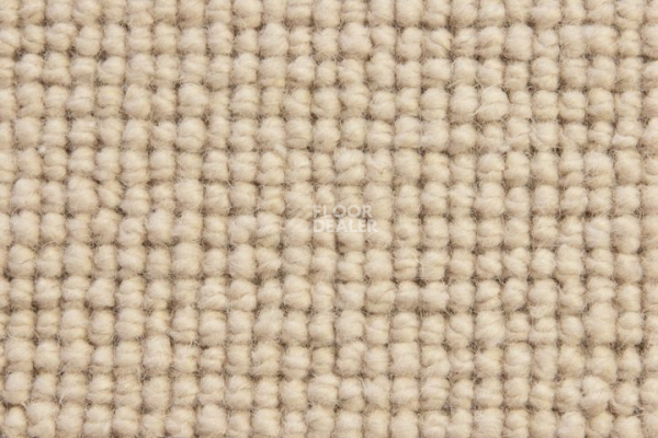 Ковролин Edel Burford Bridge 212 фото 1 | FLOORDEALER