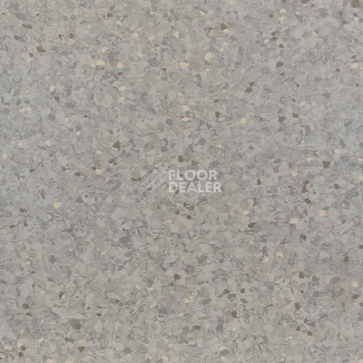 Линолеум Tarkett iQ Aria CARII-653 фото 1 | FLOORDEALER