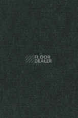 Ковролин Sintelon Global 54811 фото 1 | FLOORDEALER