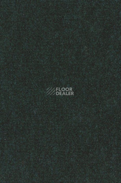 Ковролин Sintelon Global 54811 фото 1 | FLOORDEALER