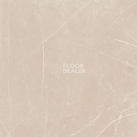 Nolana ( Нолана ) 60 x 60 x10 NL01 фото 4 | FLOORDEALER