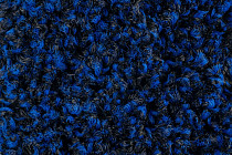 Forbo Coral Bright 2607 deep water фото 3 | FLOORDEALER