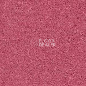 Ковролин Radici Montecarlo 4 фото 1 | FLOORDEALER